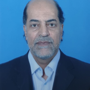 محمد ميلاد احمد السيوي